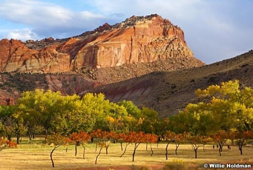 Capitol Reef Orchard
