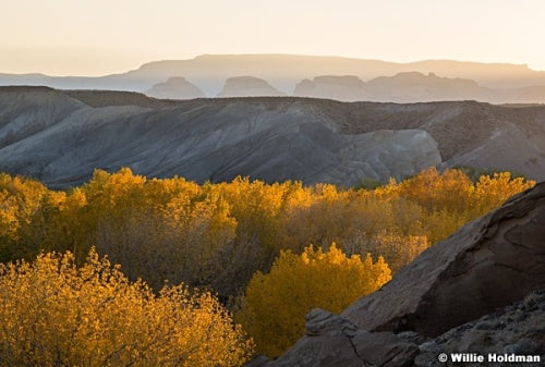 Cottonwood Badlands