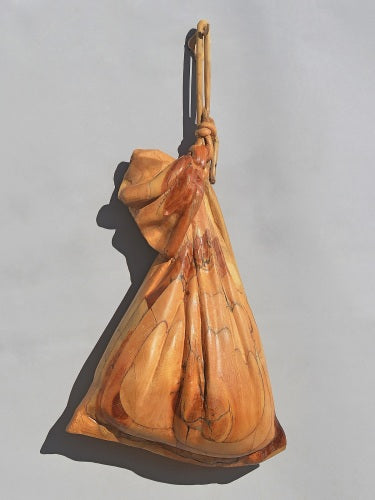 Idea Bag