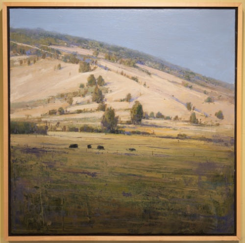 Pasture By The Hill