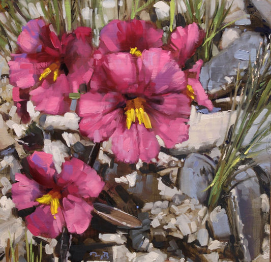 Desert Monkey Flower