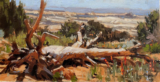 Fallen Cedar