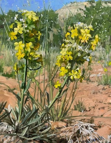 Prairie Rocket