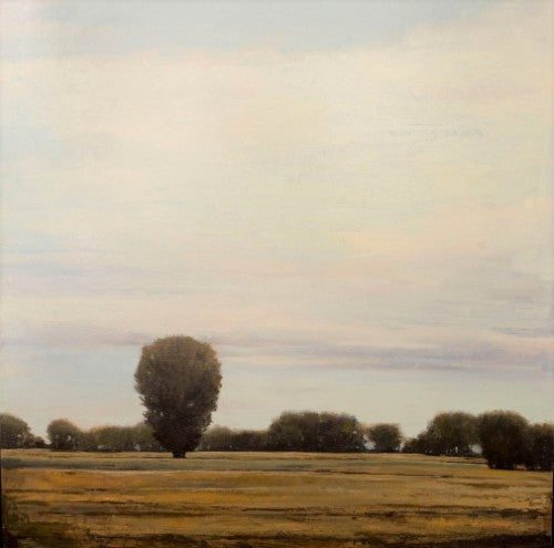 Summer Clouds