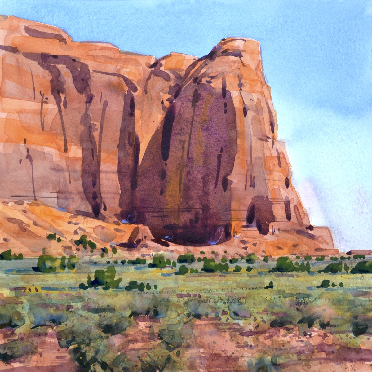 Navajo Desert