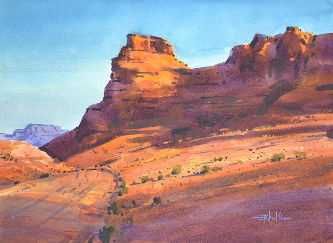 Afternoon Light